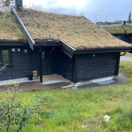 Baesta Laeget, 200m Lift Och 5m Spar Gaustablikk