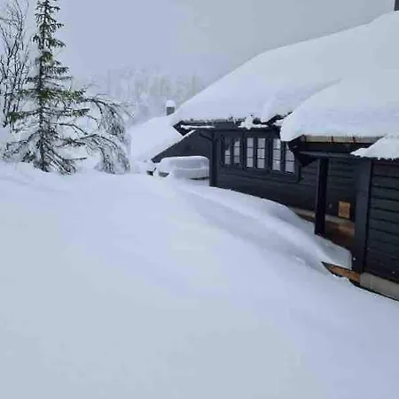 Baesta Laeget, 200m Lift Och 5m Spar Chalet Gaustablikk